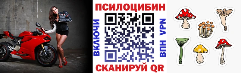 Псилоцибиновые грибы MAGIC MUSHROOMS  купить наркотик  Кстово 